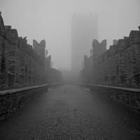 piccioni al castello